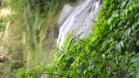 descubriendo la naturaleza y la vida con hermosas cascadas, aire fresco y paisajes verdes