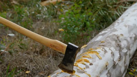 Lumberjack-cutting-tree-with-axe-in-the-forest-4k