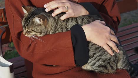 woman hugging a cat