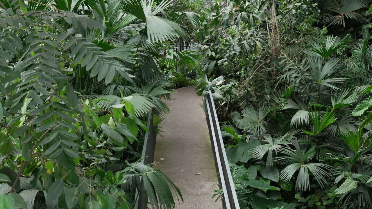 Bogota Botanical garden Colombia tropical plant house greenhouse nature plants lush green