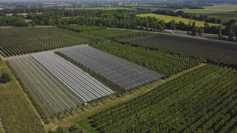 sistema agrivoltaico utilizado para cultivar cultivos - toma aérea