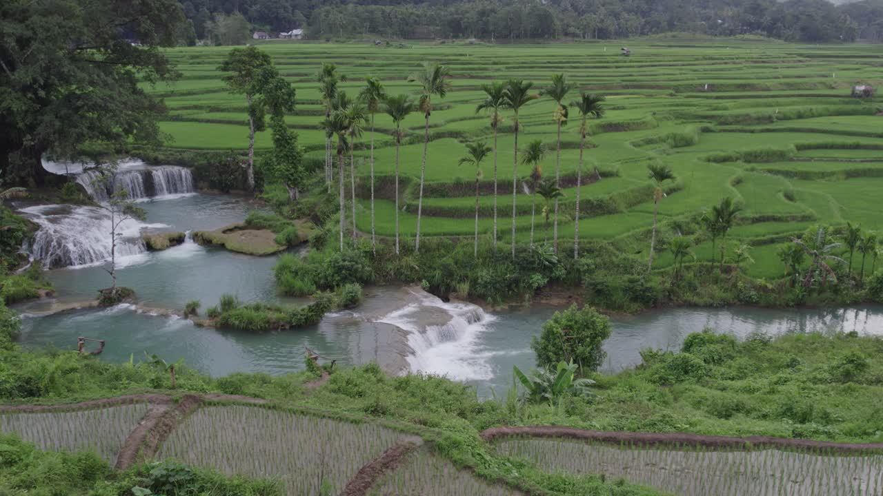 revelan una cascada tropical con un gran árbol en la isla de sumba, desde el aire