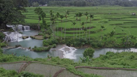 Reveal-shot-a-tropical-waterfall-with-big-tree-at-Sumba-island,-aerial