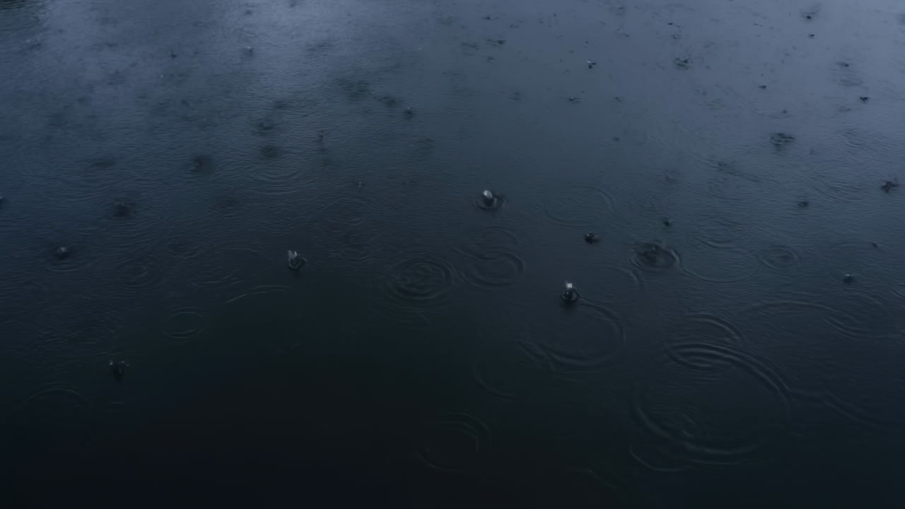 Rain Hitting Dark Water Surface, Ripples Spreading From Steady Droplets With Cool Blue Tones And Reflective