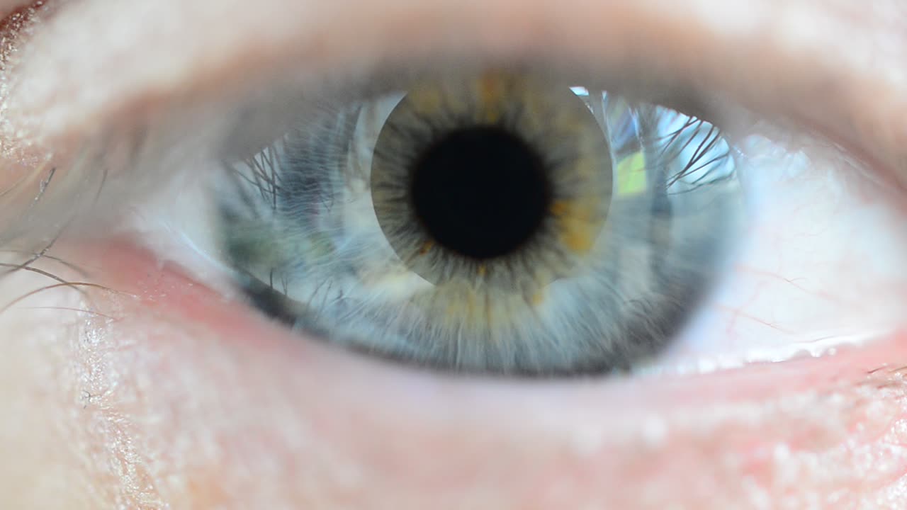 Look and eye. Female eye