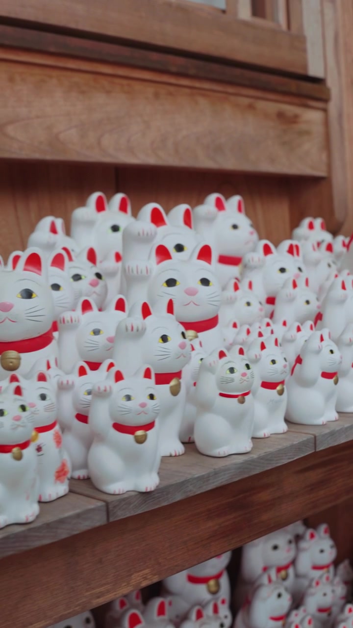 Centinaia di iconiche statue di gatti portafortuna Maneki Neko al Tempio Gotokuji a Tokyo, che mostrano i simboli più famosi del paese di fortuna, prosperità e cultura tradizionale giapponese. Filmato in verticale.