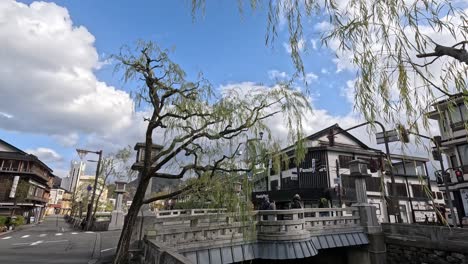 time-lapse of a tree and buildings under a dynamic sky