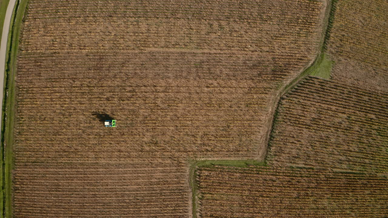 vista de ángulo alto de un tractor de cosecha trabajando en un viñedo - vídeo de stock