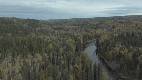 Panoramic-View-Of-Green-Pine-And-Spruce-Treetops-With-Flowing-Stream-In-British-Columbia,-Canada