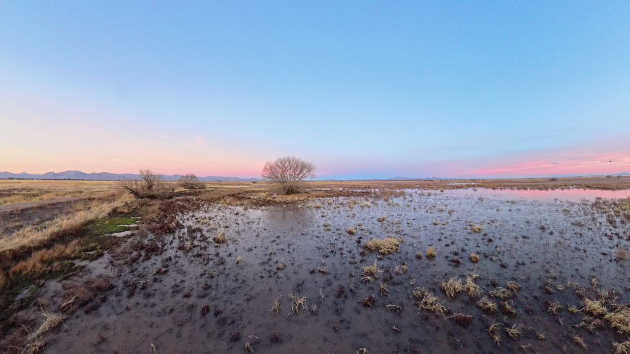 Whitewater Draw in Arizona sunrise cold morning frozen pond pink like on horizon.