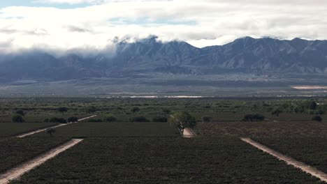 Los-Viñedos-Con-El-Telón-De-Fondo-De-La-Cordillera-De-Los-Andes-Crean-Un-Paisaje-Impresionante.