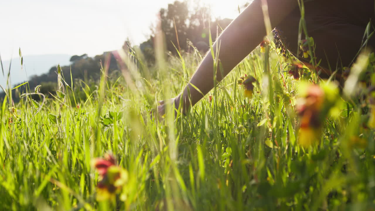 Hands Of A Man Touching The Grass Under The Summer Sun