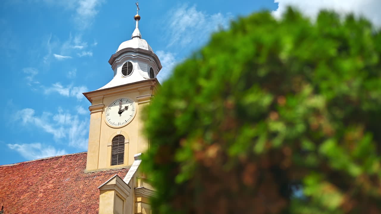 Vista de perto de uma igreja antiga no centro histórico de Brasov, Romênia. Vegetação em primeiro plano