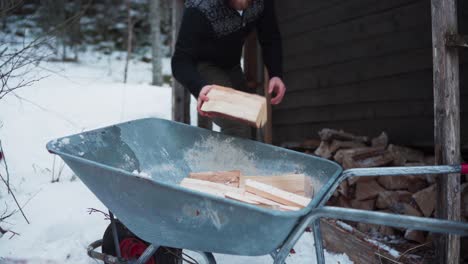 a man gathered some log woods and place into wheel barrow