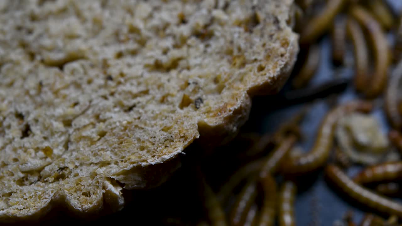 밀웜은 물고기, 뱀, 새, 개구리와 같은 애완동물에게 먹이를 주는 데 사용되는 딱정벌레의 일종입니다.