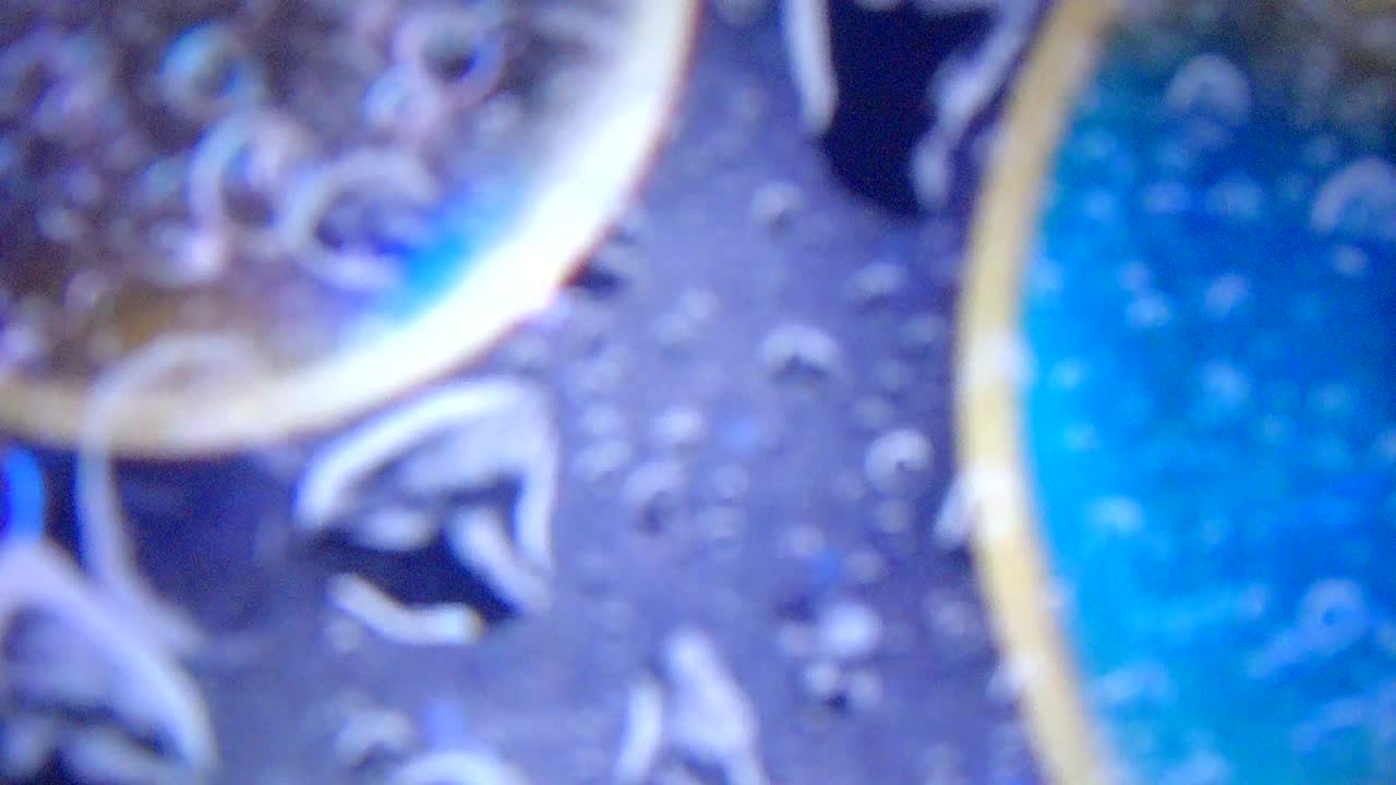 iluminación por ondas