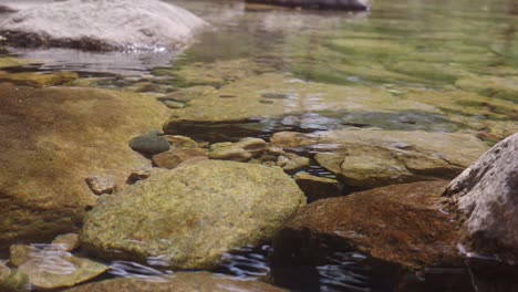 a clear stream with sparkling water surface