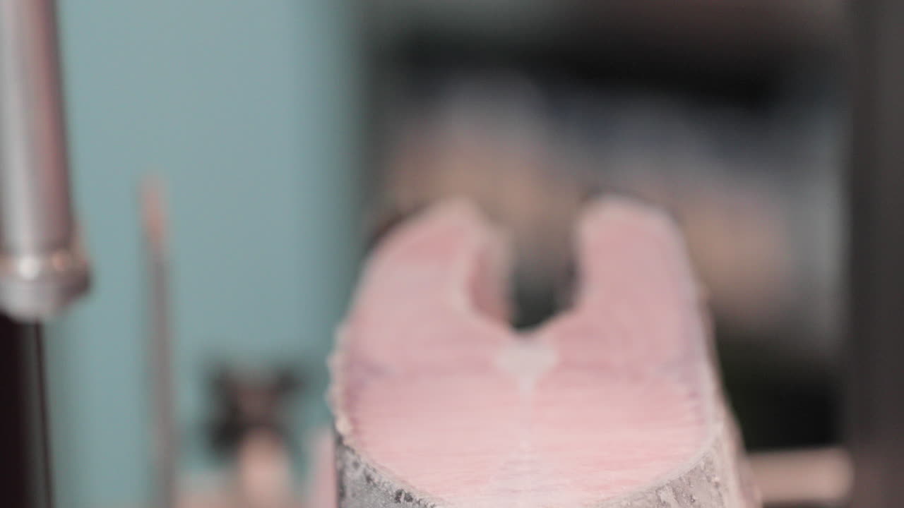 냉동 생 연어 슬라이스 - 랙 포커스