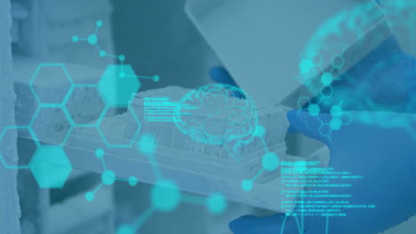 scientific data processing animation over gloved hands handling laboratory samples