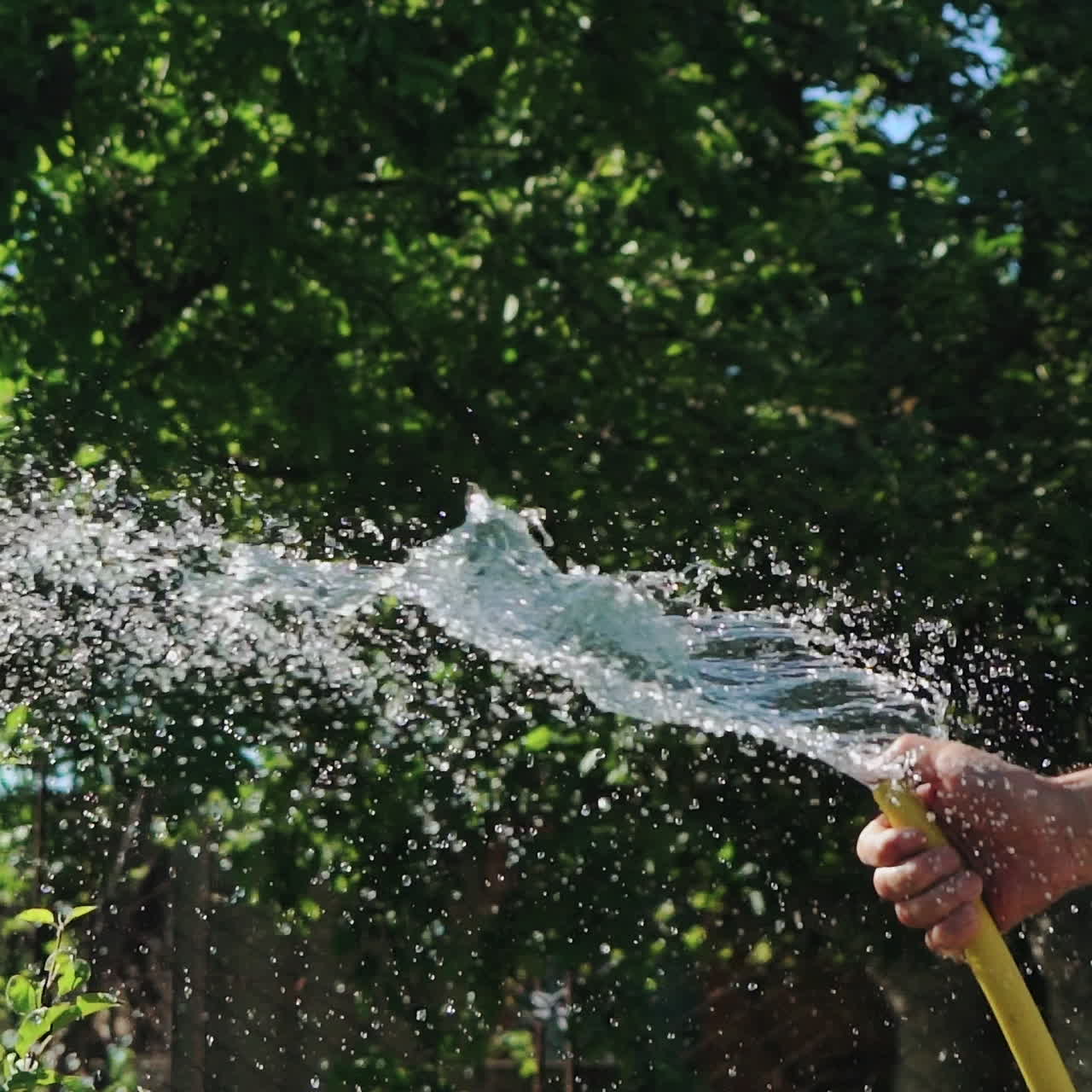 Garden grass irrigation. Stream of water spraying from garden hose. Slow motion.