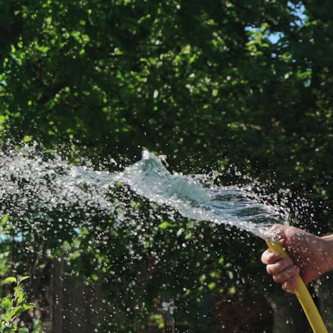 garden grass irrigation. stream of water spraying from garden hose. slow motion.