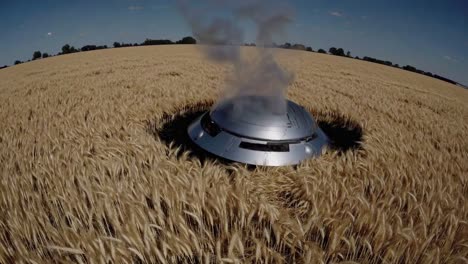 ufo in a wheat field