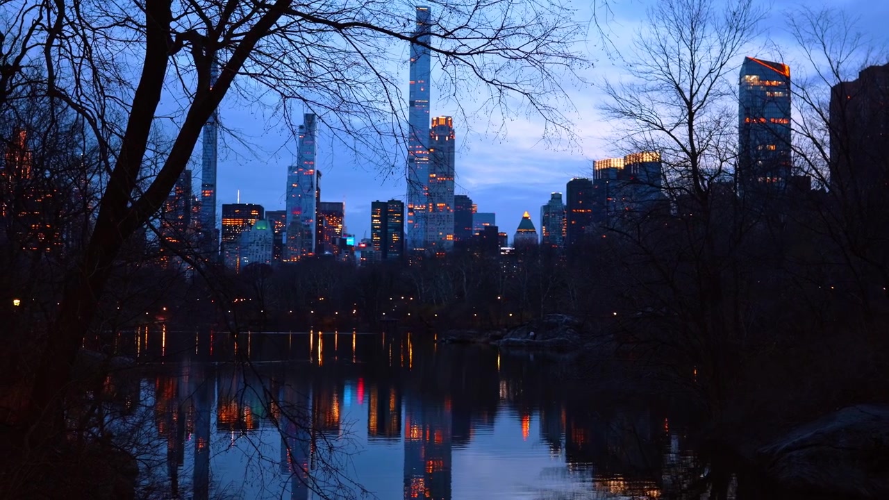 Natudsigt over Manhattans skyline, der spejler sig i Central Parks sø. Byens lys og skyskrabervinduer spejler sig i mørkt vand gennem silhuetter af nøgne træer om natten eller i skumringen.