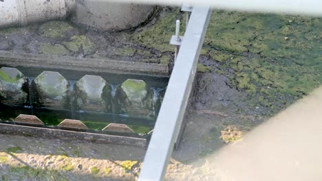 waste water tanks at the sewage plant