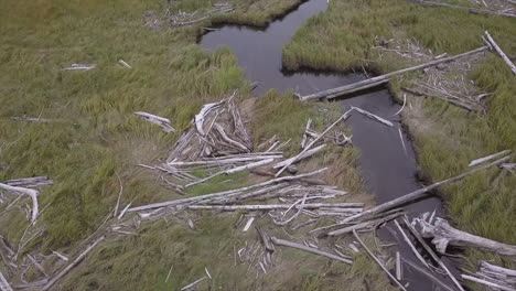 Low-aerial:-worn-water-channels-in-grassy-tidal-flood-plane,-driftwood