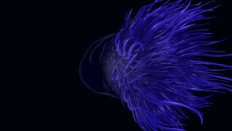 motion futuristic blue animal with tentacles on outer space