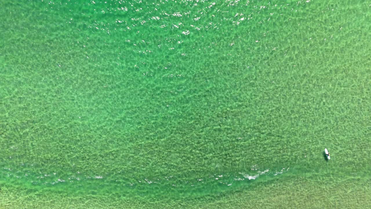 A single surfer drifts peacefully in vast green ocean under the sun. No waves, just stillness, space, and the rhythm of the sea.