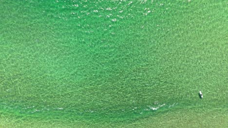 a single surfer drifts peacefully in vast green ocean under the sun. no waves, just stillness, space, and the rhythm of the sea.