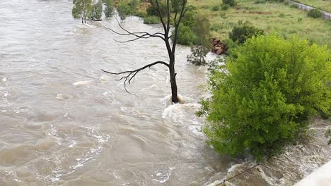 El-Río-Derramó-Sus-Orillas-Fluyendo-Alrededor-De-Los-árboles