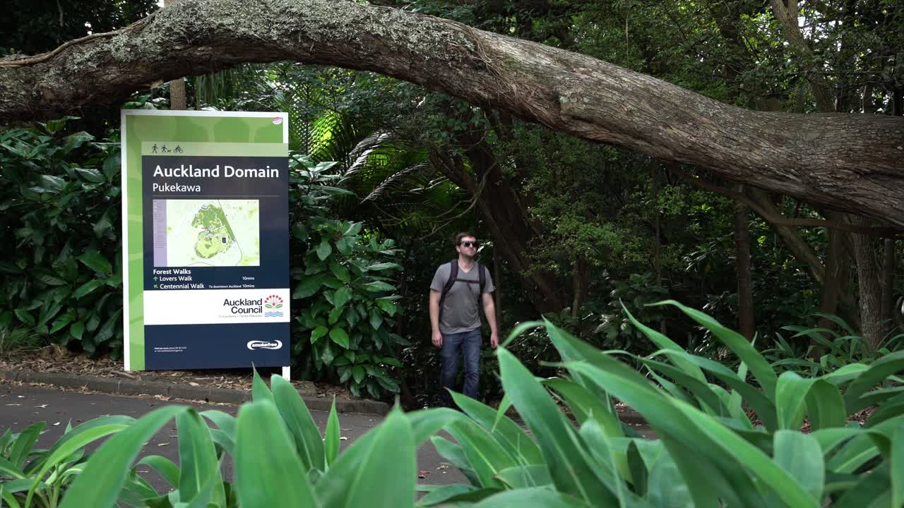 Caucasian man in a gray shirt, sunglasses, and jeans walks out of the forest in the Auckland Domain along a path towards the camera