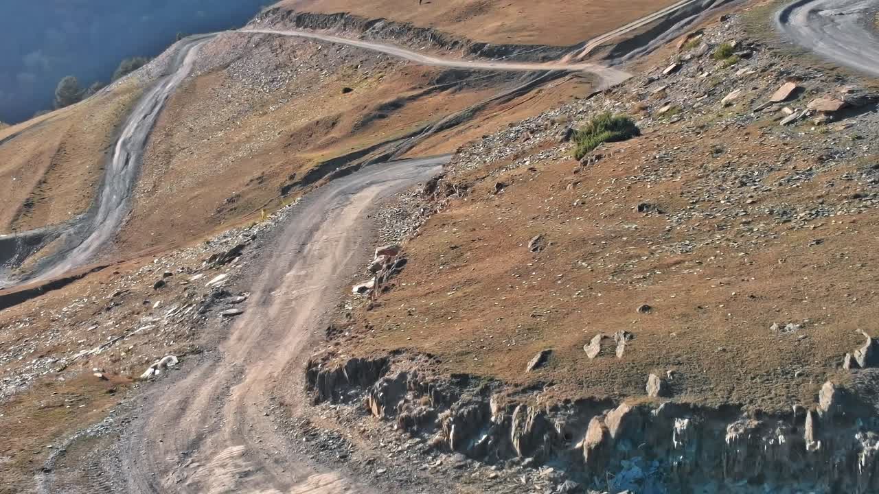 Horse walks on dirt road in the mountains of Georgia