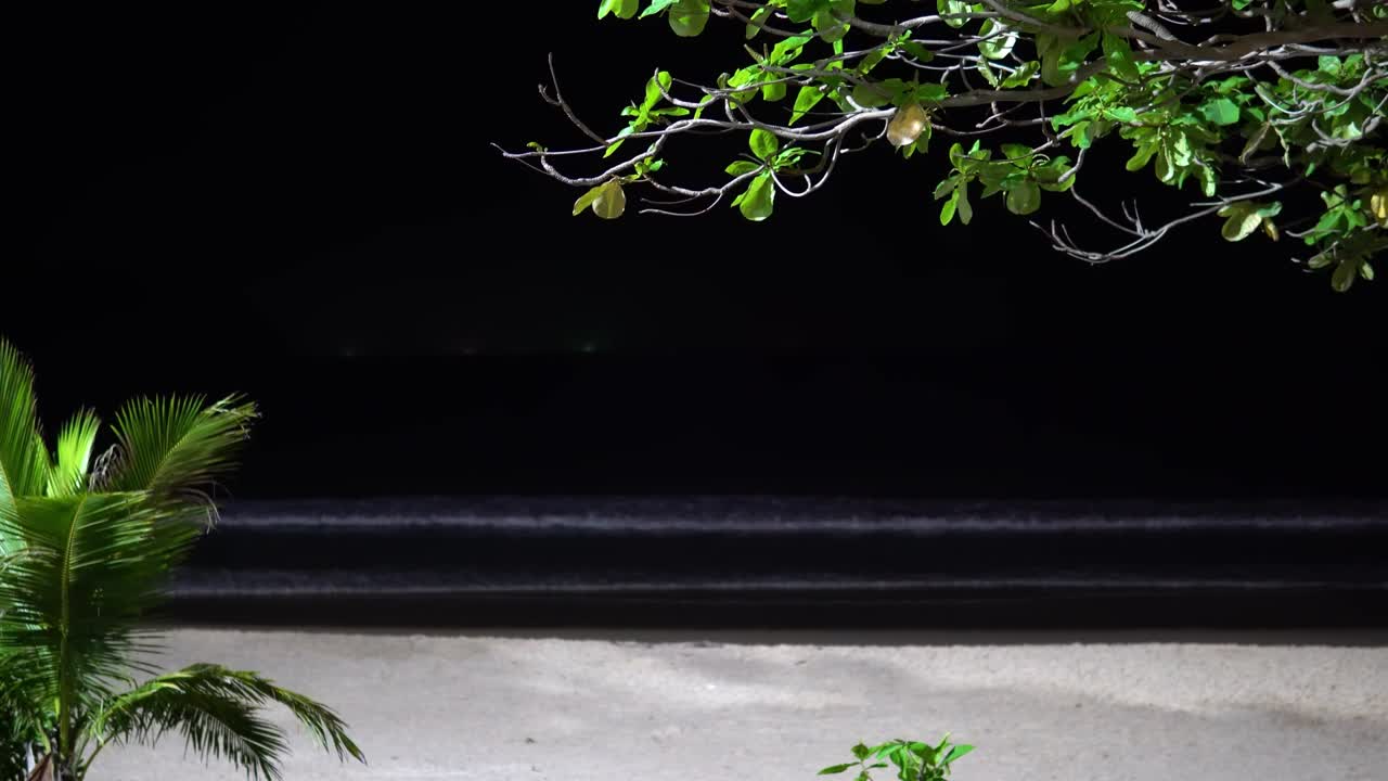 altas palmeras contra el fondo del cielo nocturno, tiempo tormentoso en un complejo exótico. olas