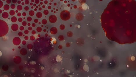 macro abstract red and clear liquid cells floating texture background