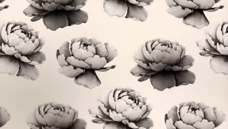 monochrome peony flower pattern