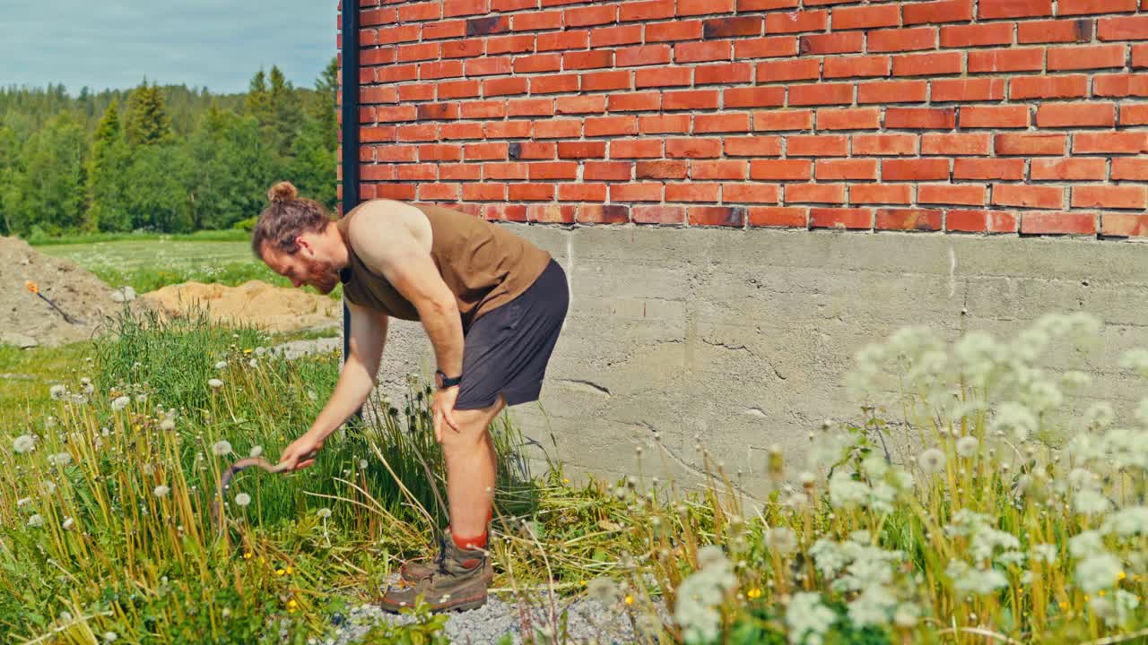 Static shot of a man gardening on a farm, using a traditional hand scythe tool for clearing a patch of tall grass and dandelions