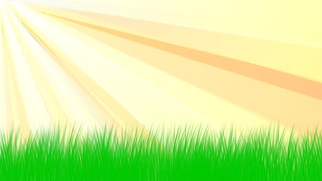 golden rays