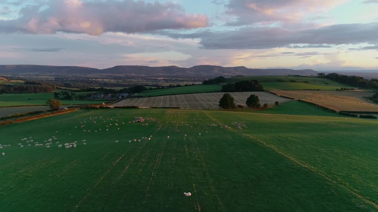 영국 북부 요크 무어스 국립 공원의 푸른 에서 여름.