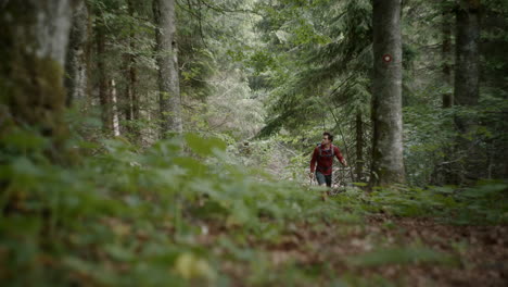 a young hiker walking with the hiking poles and a backpack in the forest towards the camera