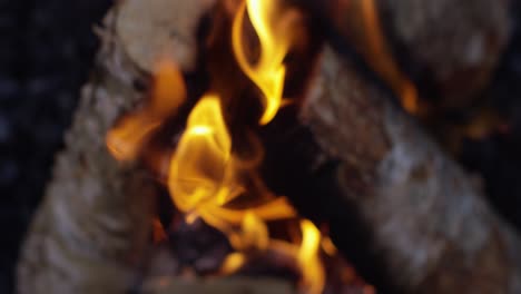 Burning-Logs-Slow-Motion-4K-08