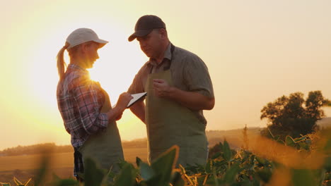 Los-Agricultores,-Hombre-Y-Mujer,-Se-Comunican-En-El-Campo-Al-Atardecer,-Usan-Una-Tableta