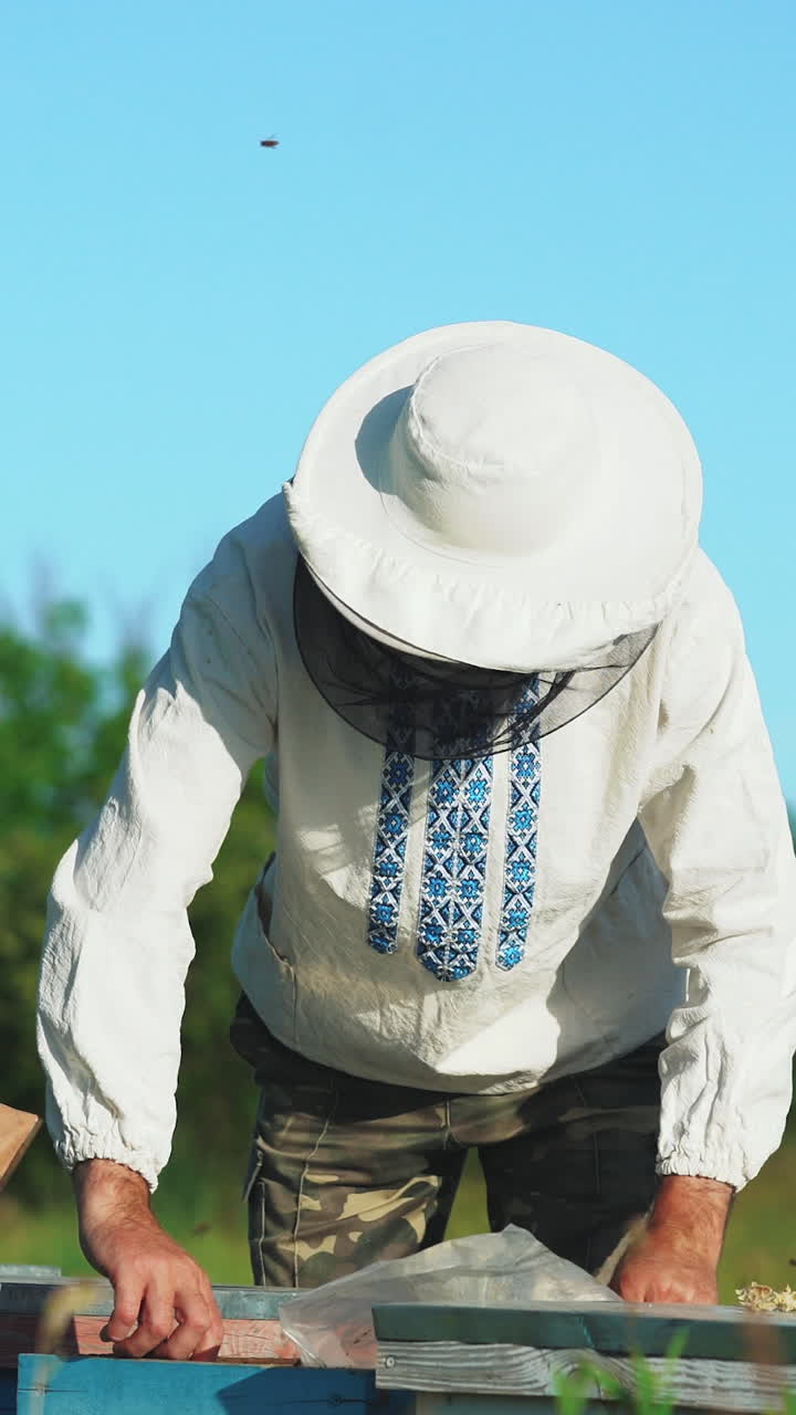 Young beekeeper working in the apiary. Beekeeping concept. Beekeeper harvesting honey Vertical video