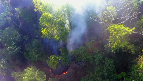 aerial view of burning ground and rising smoke in middle of jungle, wildfires raging in rainforests of south america - dolly, drone shot