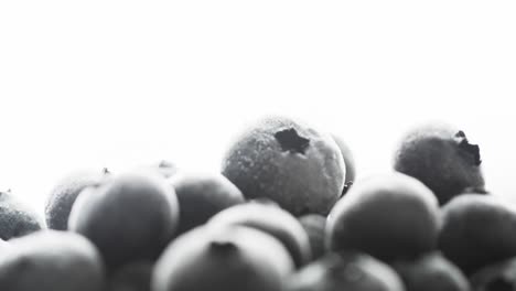 Micro-video-of-blueberries-with-copy-space-on-white-background