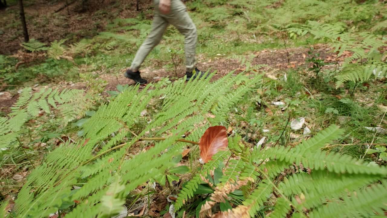 En mand går gennem en meget grøn skov på en overskyet dag i Slovenien, nær landsbyen Gozd Martuljek.