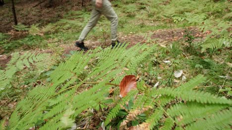un hombre caminando por un bosque muy verde en un día nublado en eslovenia ubicado cerca del pueblo de gozd martuljek