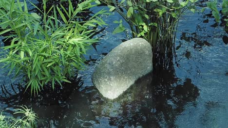 water feature with stone and plants